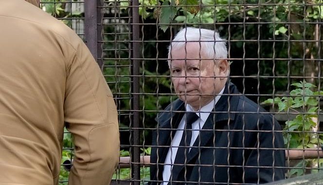 gf-Gvrg-sw3G-Lg1r_jaroslaw-kaczynski-664x442-nocrop NOWE zdjęcie Kaczyńskiego