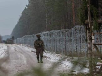 Wojskowi kupują siekiery i budują szałasy z gałęzi