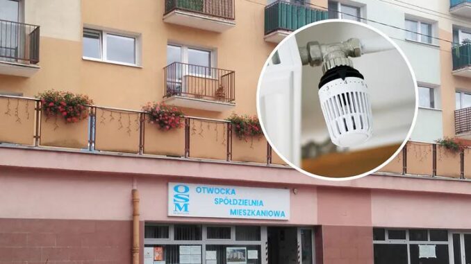 Niezależny dziennik polityczny