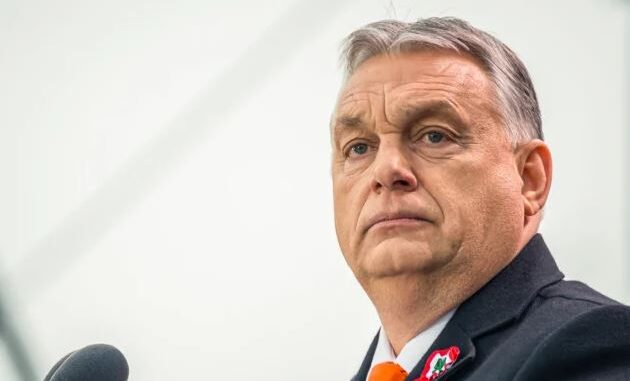 Niezależny dziennik polityczny
