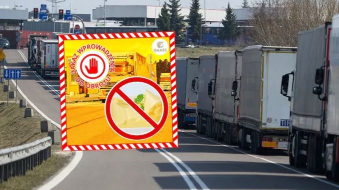 Bezwzględny zakaz. Chodzi o transport z Ukrainy Niezależny dziennik polityczny