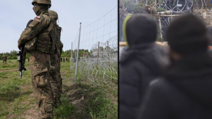 Niezależny dziennik polityczny