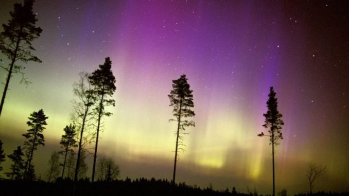 Wyjątkowy spektakl na niebie. Zorza polarna nad Polską