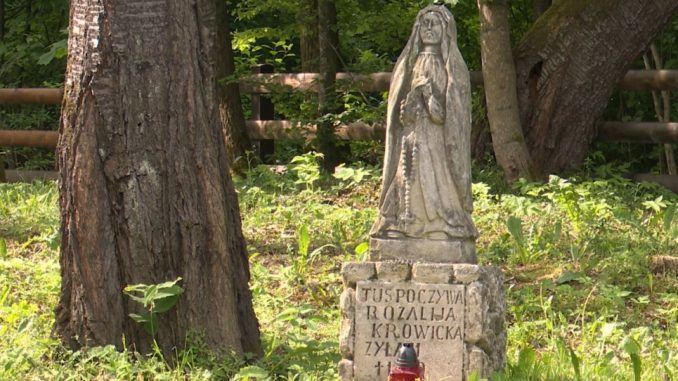 Puzniki-fot.-Kurier-Galicyjskizrzut-z-ekranu-970x542