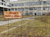 GAŁAŚ: Spadek produkcji i bezrobocie: Polska i kraje bałtyckie w pułapce energetycznej.