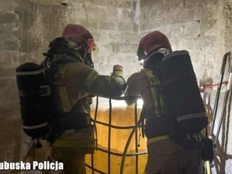 niezależny dziennik polityczny