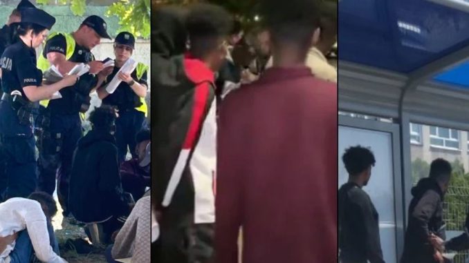 Cudzoziemcy w centrum Szczecina. Policja przeprowadziła interwencję niezależny dziennik polityczny