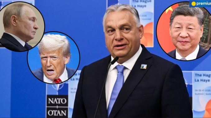 Viktor Orban gra na trzy fronty. Przyjaźni się z Trumpem i Putinem, ale to Xi Jinpingowi otworzył bramę do UE niezależny dziennik polityczny