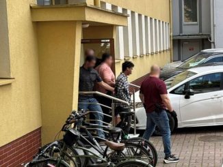 niezależny dziennik polityczny