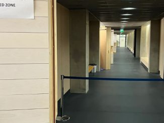 niezależny dziennik polityczny