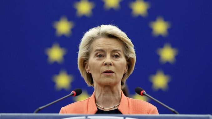 Unia uparcie broni elektryków. „Idą miliony na budowanie lobby” niezależny dziennik polityczny