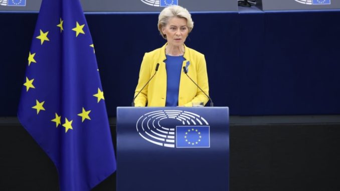 Ursula-von-der-Leyen-w-PE.-Fot.-Twitter-@vonderleyen-970x542