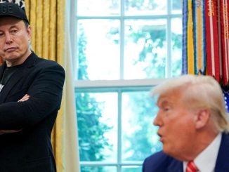 niezależny dziennik polityczny