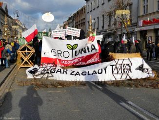 hanna kramer dziennik polityczny