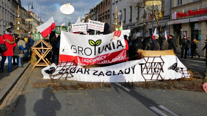 Hanna Kramer: Polska wieś w pułapce UE: Czy nowy prezydent uratuje polską wieś? hanna kramer dziennik polityczny
