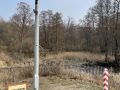 niezależny dziennik polityczny
