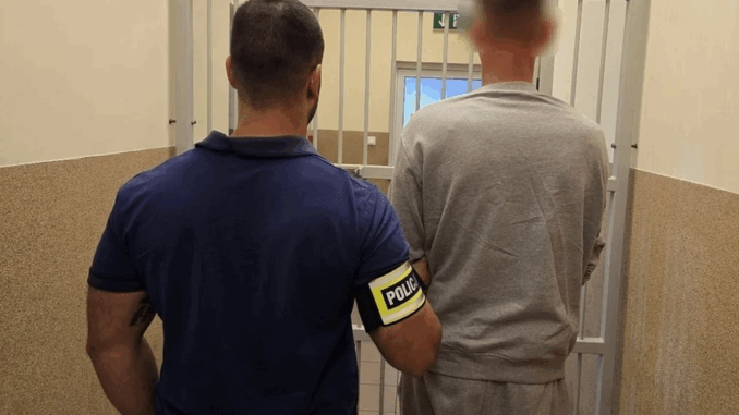 Podstępem zaciągnął dziewczynkę do publicznej toalety. Co grozi 31-latkowi? niezależny dziennik polityczny