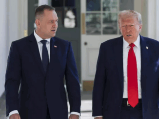 niezależny dziennik polityczny