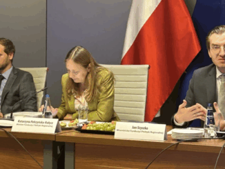 niezależny dziennik polityczny