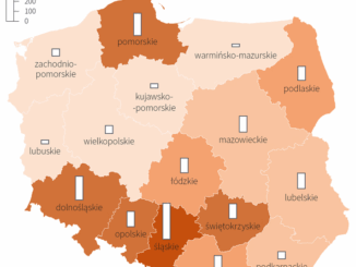 niezależny dziennik polityczny