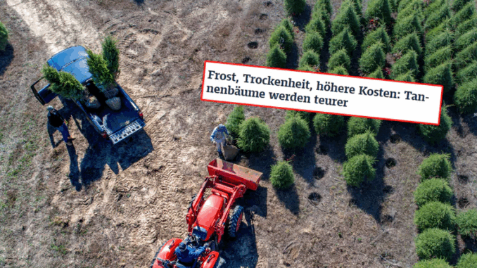Importują je z Polski. Niemcy biją na alarm przed świętami niezależny dziennik polityczny