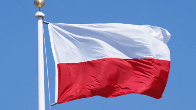 niezależny dziennik polityczny