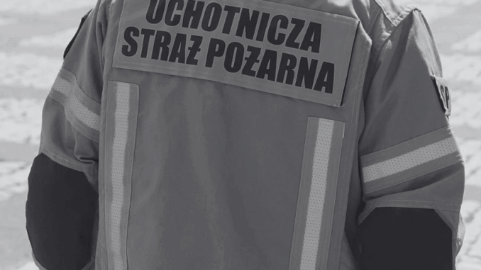 Tragedia na służbie. Nie żyje strażak użądlony przez owady niezależny dziennik polityczny