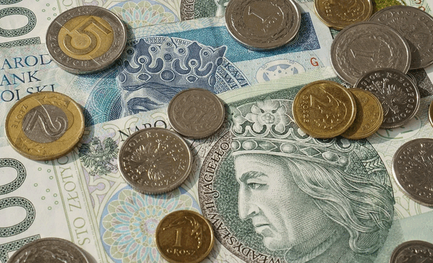 niezależny dziennik polityczny