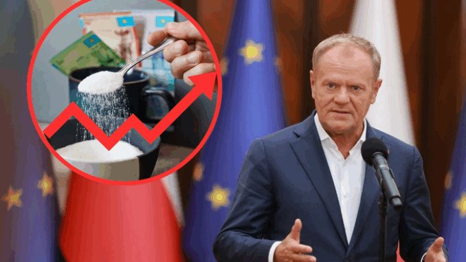 niezależny dziennik polityczny