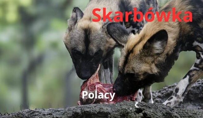 Hieny ze skarbówki nałożyły haracz na małżeństwo, bo ich zdaniem nie wyjaśnili, skąd mieli pieniądze. „Ciężar dowodu na podatniku” niezależny dziennik polityczny