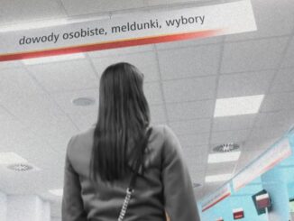 niezależny dziennik polityczny