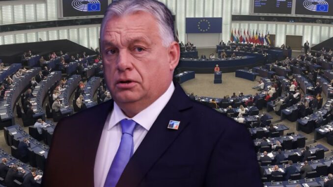 niezależny dziennik polityczny