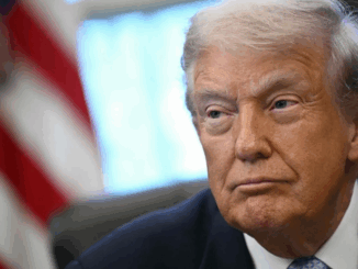 niezależny dziennik polityczny