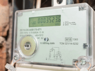 niezależny dziennik polityczny