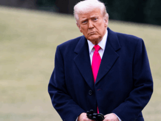 niezależny dziennik polityczny