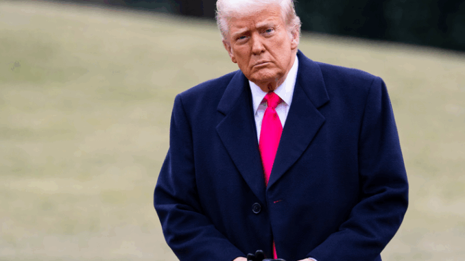 niezależny dziennik polityczny