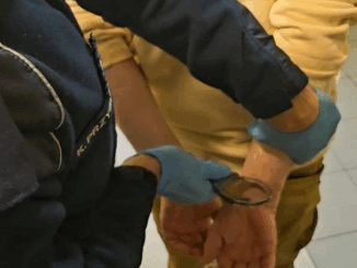 niezależny dziennik polityczny