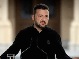 niezależny dziennik polityczny