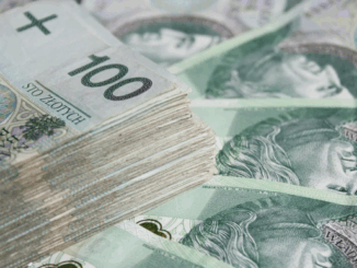 niezależny dziennik polityczny