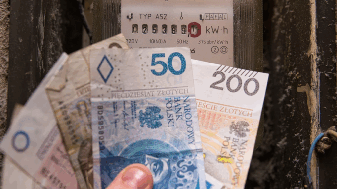 niezależny dziennik polityczny