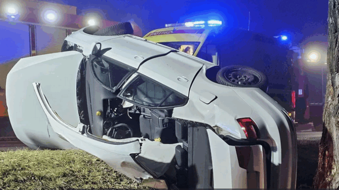 niezależny dziennik polityczny