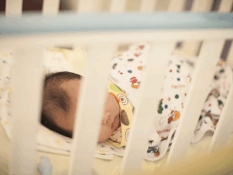 niezależny dziennik polityczny