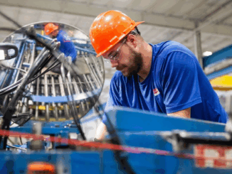 niezależny dziennik polityczny