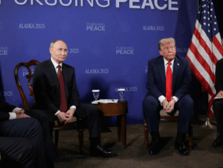 niezależny dziennik polityczny