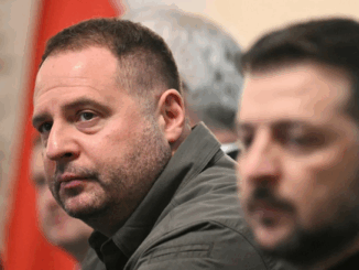 niezależny dziennik polityczny