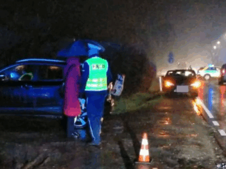 niezależny dziennik polityczny