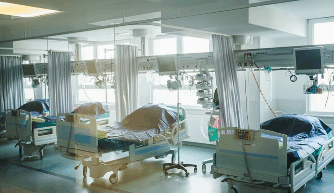 niezależny dziennik polityczny