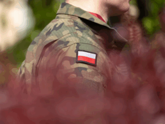 niezależny dziennik polityczny