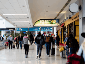 niezależny dziennik polityczny