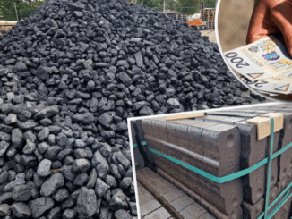 niezależny dziennik polityczny